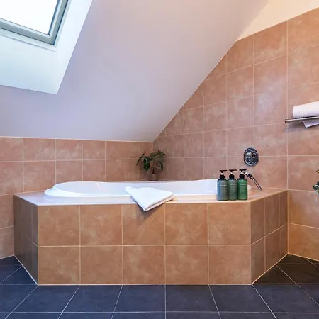 Duplex 165m2 With Views Only 30 Seconds To Charles Bridge Praha